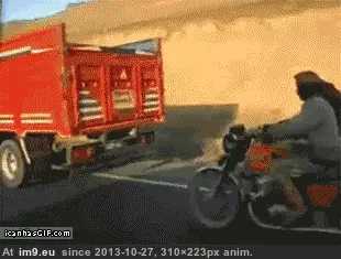 #Wtf #Thieves #Amazing [Wtf] Amazing thieves GIF (Image de album My r/WTF favs))