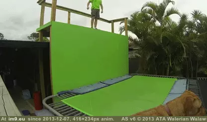 #Wtf #Trampoline #Ankle #Break [Wtf] Ankle Break on Trampoline GIF (Image de album My r/WTF favs))