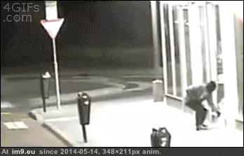 #Wtf #Arsonist #Fail [Wtf] Arsonist fail GIF (Image de album My r/WTF favs))