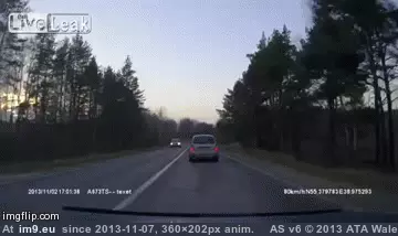 #Wtf #Brake #Check [Wtf] Brake check GIF (Image of album My r/WTF favs))