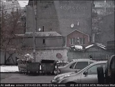  #Wtf  [Wtf] Close call GIF (Image of album My r/WTF favs))