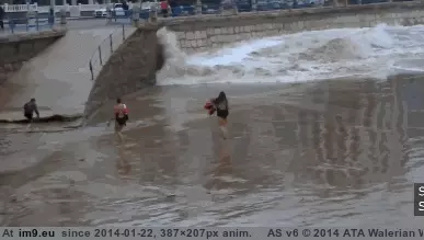 #Nature #Dancing #Wtf [Wtf] Dancing with nature GIF (Image de album My r/WTF favs))