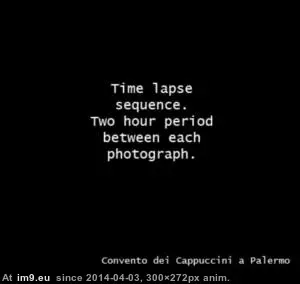 #Wtf #Year #Dead #Opens #Old #Eyes [Wtf] Dead since 1920, this 2 year old sometimes opens her eyes.. GIF (Image of album My r/WTF favs))