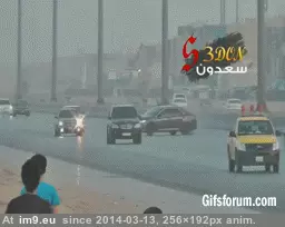 #Wtf #Barrel #Roll [Wtf] Do a barrel roll! GIF (Image of album My r/WTF favs))