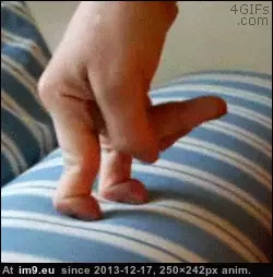 #Wtf #Fingers #Jointed #Double [Wtf] Double jointed fingers GIF (Image of album My r/WTF favs))