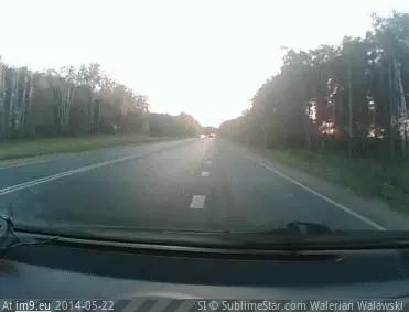#Wtf #Car #Driver #Police #Pushes #Road #Russia [Wtf] Driver Pushes Police Car off Road in Russia. GIF (Image de album My r/WTF favs))