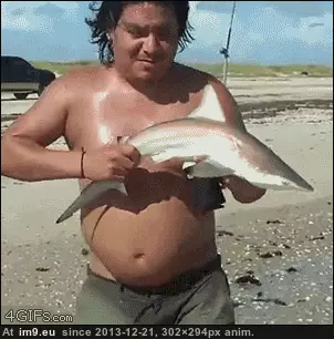 #Wtf #You #Animalsbeingjerks #Fuck #Shark [Wtf] Fuck you, I'm a shark! [ -r-AnimalsBeingJerks] GIF (Изображение из альбом My r/WTF favs))