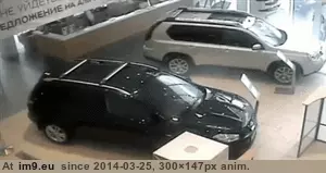 #Wtf #Car #Stop #Dave #Property #Goddamit #Private #Turning #Everyday [Wtf] Goddamit, Dave. This is a private property. Stop turning your car around here everyday. GIF (Image de album My r/WTF favs))