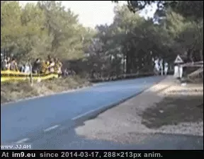 #Wtf #Tree #Good [Wtf] Good thing that tree's there. GIF (Изображение из альбом My r/WTF favs))