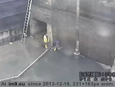 #Wtf #Ladder #Grab [Wtf] Grab the ladder! Grab the ladder! GIF (Obraz z album My r/WTF favs))