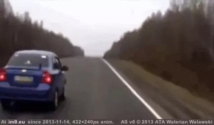 #Wtf  #Bearly [Wtf] He bearly made it. GIF (Obraz z album My r/WTF favs))