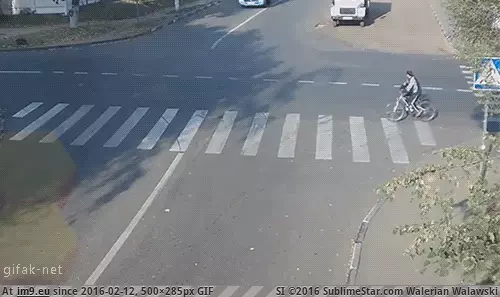 #Wtf #Rest #Life [Wtf] He lucked out for the rest of his life GIF (Изображение из альбом My r/WTF favs))