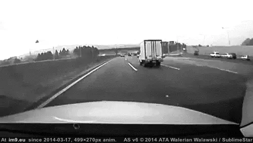 #Wtf  #Head [Wtf] Head on GIF (Image of album My r/WTF favs))