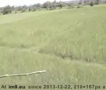 #Wtf #Holy #Shit [Wtf] Holy Shit! GIF (Bild von album My r/WTF favs))