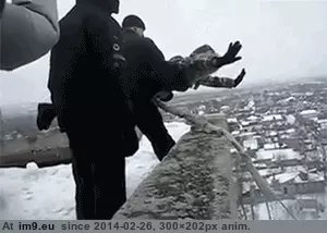 #Wtf #Homemade #Fun [Wtf] Homemade fun GIF (Obraz z album My r/WTF favs))