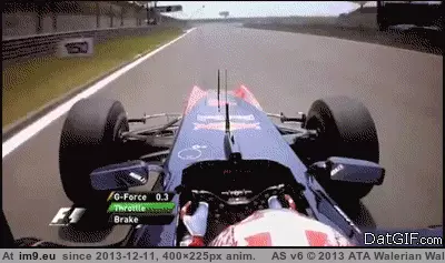 #Wtf  #Shit [Wtf] I'd shit myself. GIF (Image of album My r/WTF favs))