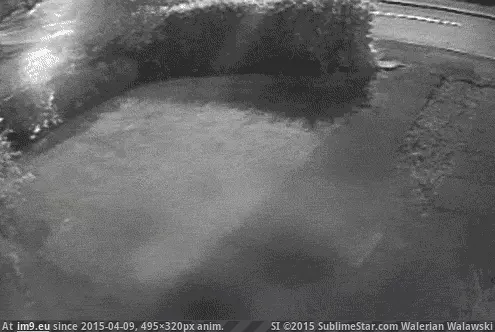  #Wtf  [Wtf] I'll just get out here GIF (Изображение из альбом My r/WTF favs))