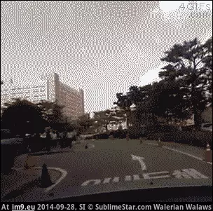 #Wtf #Scam #Peoplebeingjerks #Insurance [Wtf] Insurance scam [ -r-PeopleBeingJerks] GIF (Image of album My r/WTF favs))
