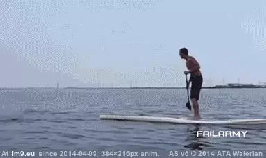 #Wtf #Day #Paddle #Board #Relaxing [Wtf] Just a relaxing day out on the paddle board GIF (Image of album My r/WTF favs))