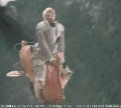 #Wtf #Flamingo #Flying [Wtf] Just flying my flamingo... GIF (Изображение из альбом My r/WTF favs))
