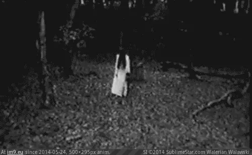 #Collection #Wtf #Creepiest #Large #Internet [Wtf] Large collection of the creepiest pictures on the internet. 53 GIF (Bild von album My r/WTF favs))