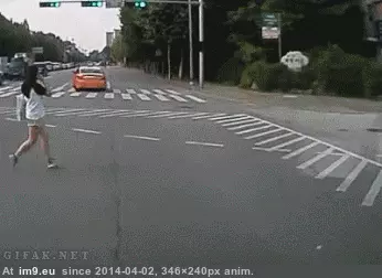 #Girl #Lucky #Wtf [Wtf] Lucky Girl GIF (Imagen de album My r/WTF favs))