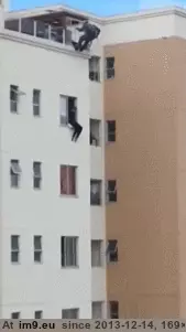 #Wtf #Man #Off #Preparing #Kicked #Window #Building #Jump [Wtf] Man preparing to jump off building is kicked back into window GIF (Obraz z album My r/WTF favs))