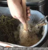 #Wtf #Seed #Spores #Mmm #Extract [Wtf] Mmm that's right...extract those seed spores... GIF (Bild von album My r/WTF favs))