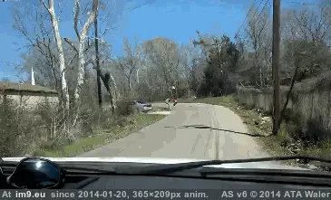 #Wtf #Move #See [Wtf] move along, nothing to see here GIF (Image of album My r/WTF favs))