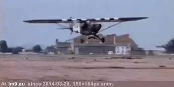 #Wtf #Hit #Filming #Reporter #News #Airplane [Wtf] News reporter gets hit by an airplane during filming GIF (Image de album My r/WTF favs))