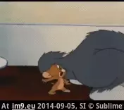 #Wtf  #Context [Wtf] no context GIF (Bild von album My r/WTF favs))