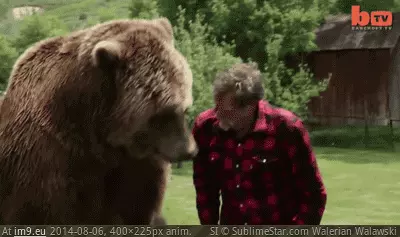 #Wtf #Fear #Grizzly #Bears [Wtf] No fear of grizzly bears GIF (Изображение из альбом My r/WTF favs))