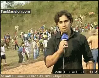 #Wtf  #Horsing [Wtf] No horsing around! GIF (Obraz z album My r/WTF favs))