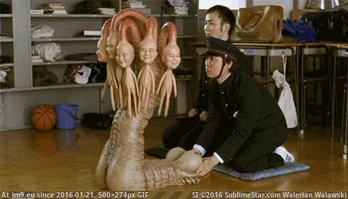 #Wtf #Japanese #Matter #Beat #Masters #Hard #Try [Wtf] No matter how hard you try, you will never beat the Japanese at WTF; they are the masters GIF (Image of album My r/WTF favs))