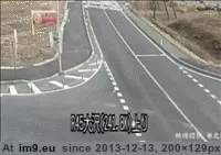 #Wtf  #Nope [Wtf] NOPE! GIF (Image of album My r/WTF favs))