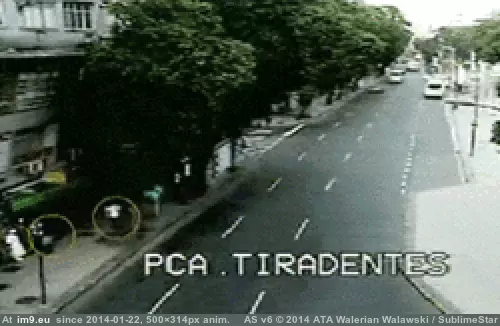 #Wtf #For #Not #Stroll #Day #Good [Wtf] not a good day for a stroll GIF (Bild von album My r/WTF favs))
