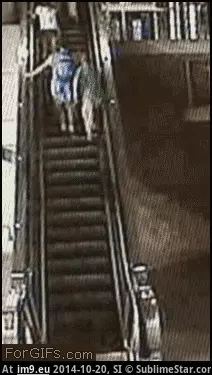 #Wtf #Place #Sit #Good [Wtf] Not a good place to sit. GIF (Image of album My r/WTF favs))