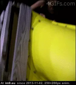 #Wtf #Supposed #Happen #Not [Wtf] Not supposed to happen. GIF (Obraz z album My r/WTF favs))