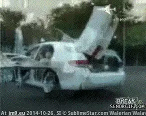 #Wtf #Type #Usual #Posted [Wtf] Not the usual type of thing posted here, but made me say WTF. GIF (Imagen de album My r/WTF favs))