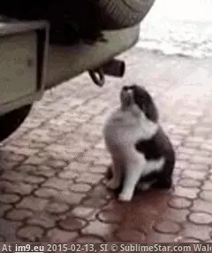 #Wtf #Yeah #Stuff [Wtf] Oh yeah, that's the stuff GIF (Изображение из альбом My r/WTF favs))