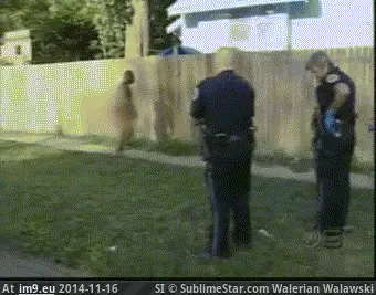 #Wtf #Pcp #Drug [Wtf] PCP is a hell of a drug. GIF (Imagen de album My r/WTF favs))