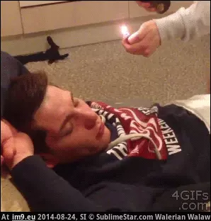 #Wtf #Pranked #Bro [Wtf] Pranked you bro! GIF (Bild von album My r/WTF favs))