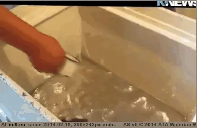 #Wtf  #Drinking [Wtf] Probably shouldn't be drinking that. GIF (Obraz z album My r/WTF favs))
