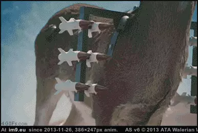 #Wtf #Off #Rudolf #Pissed #Reindeer [Wtf] Rudolf the Pissed-Off Reindeer GIF (Obraz z album My r/WTF favs))