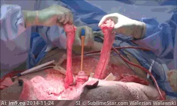 #Wtf  #Sense [Wtf] Sense. This makes none... [NSFW] GIF (Bild von album My r/WTF favs))