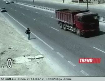 #Wtf  #Bus [Wtf] Should have taken the bus GIF (Bild von album My r/WTF favs))