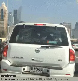 #Wtf #Sister #Suddenly #Dubai #Stuck #Traffic [Wtf] So my sister is stuck in traffic in Dubai when suddenly... GIF (Obraz z album My r/WTF favs))