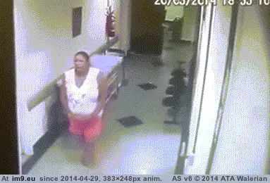 #Wtf #Hospital #Flee #Staff #Charging [Wtf] Staff flee charging ox in hospital. GIF (Image of album My r/WTF favs))