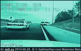 #Wtf #Resisting #Stop [Wtf] Stop resisting! GIF (Image de album My r/WTF favs))