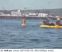 #Wtf #Swallowed #Surfer [Wtf] Surfer almost swallowed GIF (Image of album My r/WTF favs))